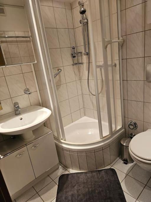A&E Apartment Am Sorpesee Langscheid  Экстерьер фото