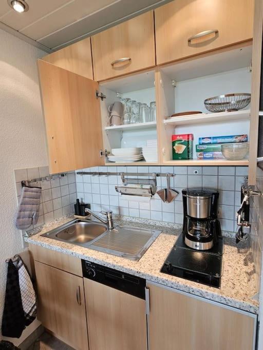 A&E Apartment Am Sorpesee Langscheid  Экстерьер фото