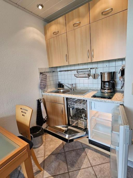 A&E Apartment Am Sorpesee Langscheid  Экстерьер фото